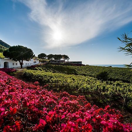 Capofaro Locanda & Malvasia مالْفا المظهر الخارجي الصورة