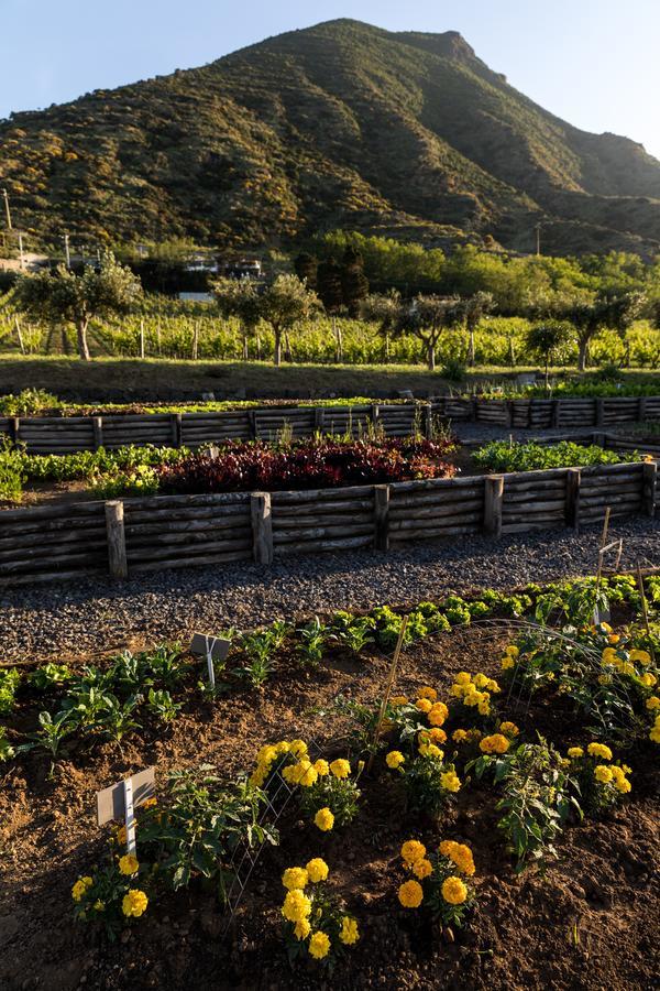 Capofaro Locanda & Malvasia مالْفا المظهر الخارجي الصورة
